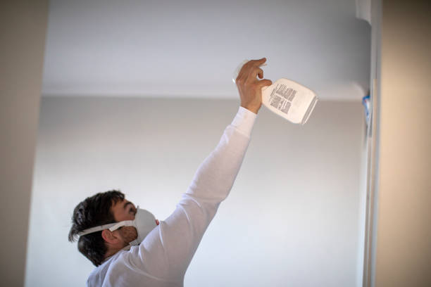 Best Professional Mold Removal  in Mission Bend, TX