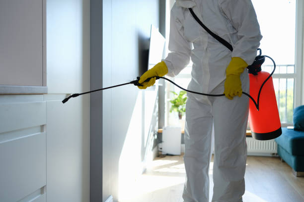 Best Professional Mold Removal  in Mission Bend, TX