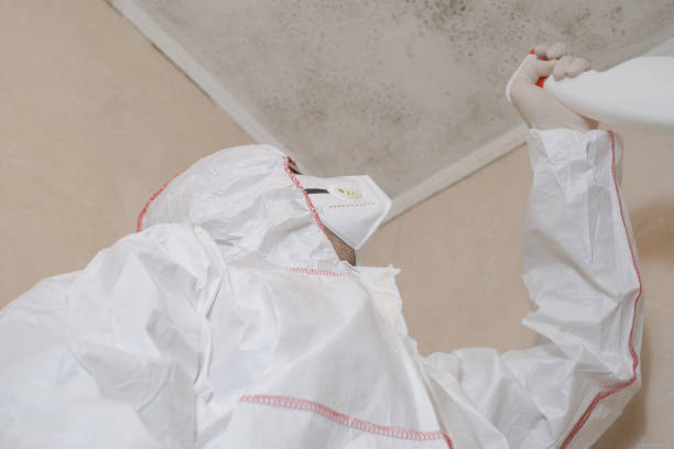 Best Mold Removal Company Near Me  in Mission Bend, TX
