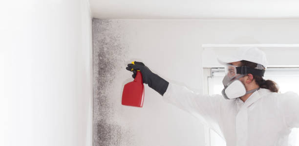 Best Mold Testing  in Mission Bend, TX