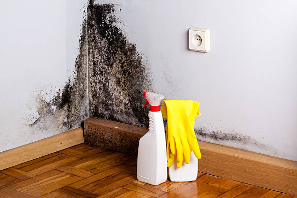 Best Crawl Space Mold Removal  in Mission Bend, TX