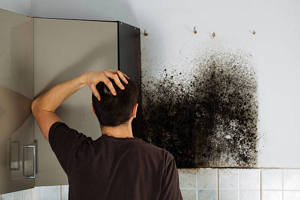 Best Emergency Mold Removal  in Mission Bend, TX